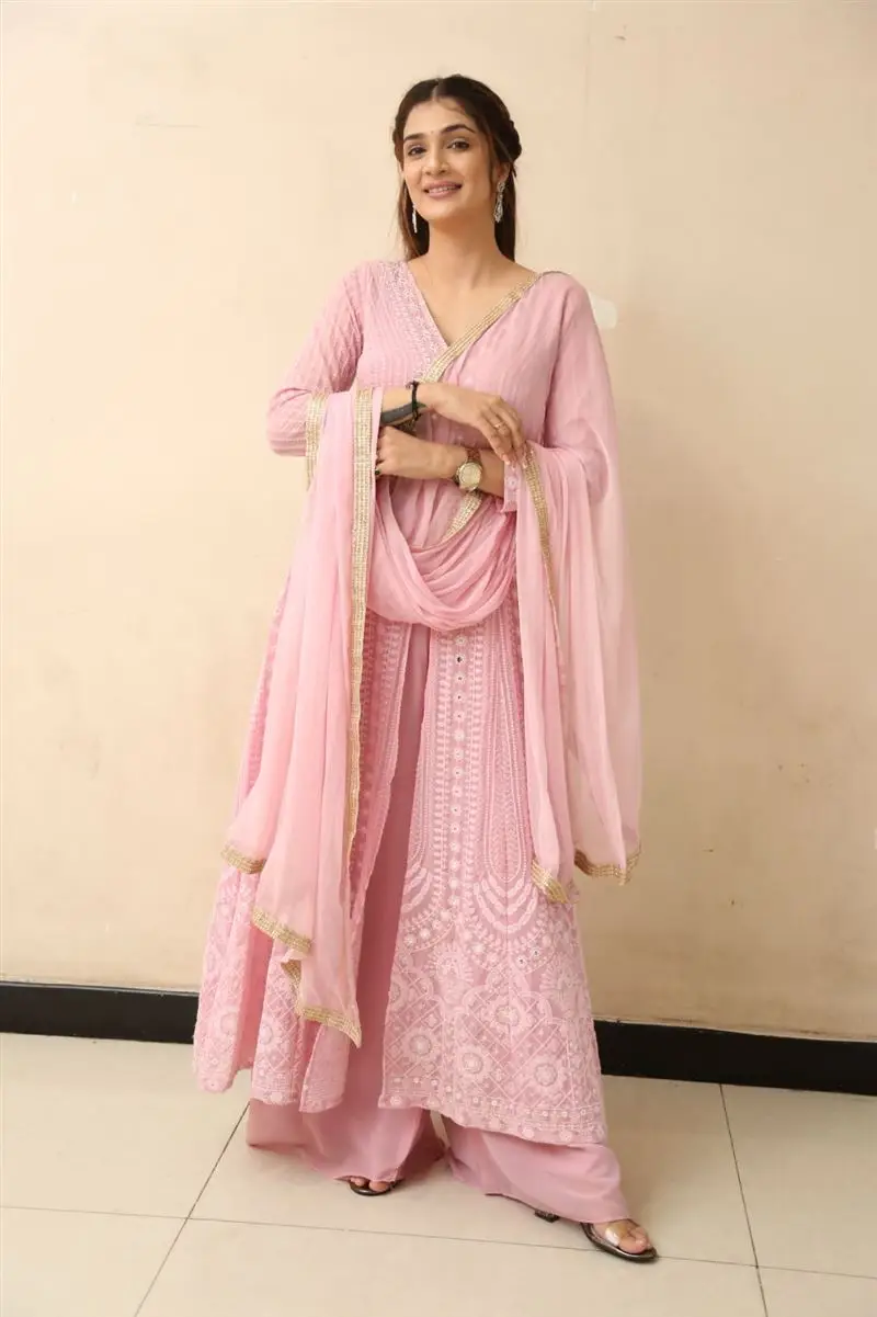 Telugu Actress Hasini Sudhir In Beautiful Pink Gown